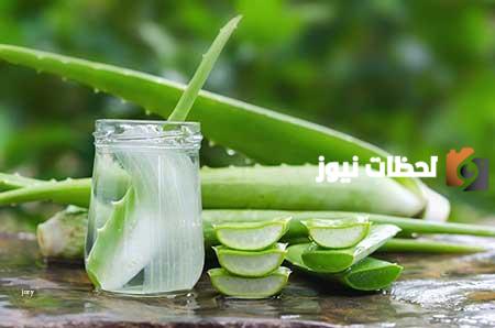 تجربتي مع الصبار لإنبات الشعر