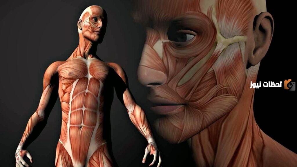 20 حقيقة لا تصدق عن جسم الإنسان يجب أن تعرفها