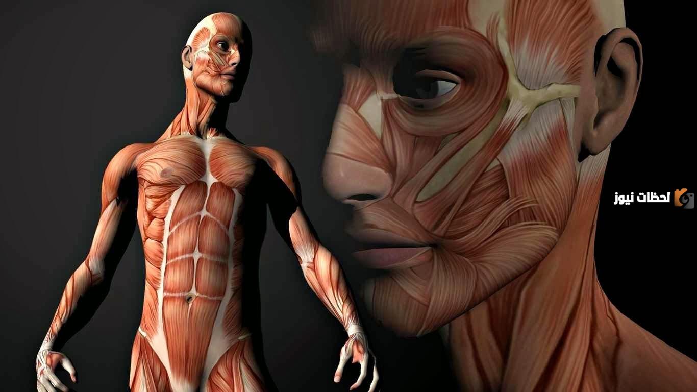 20 حقيقة لا تصدق عن جسم الإنسان يجب أن تعرفها