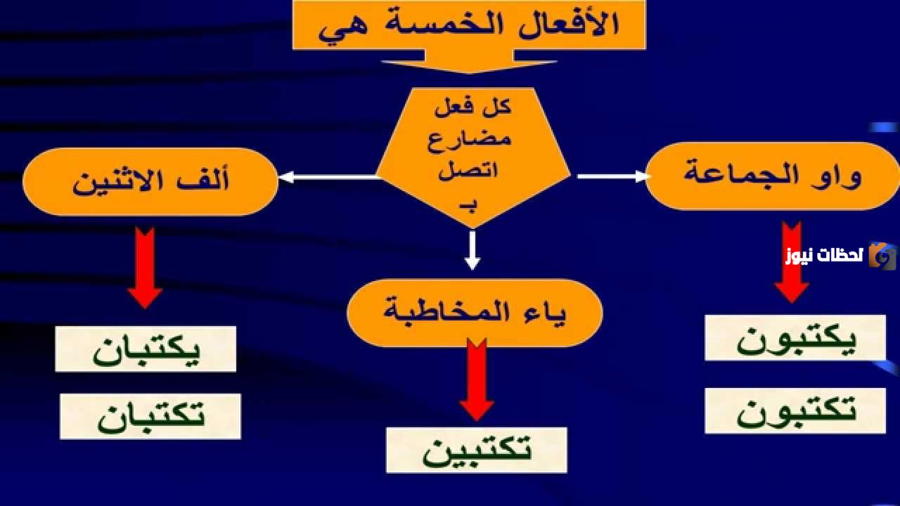 تعلم الفرق بين الأفعال الناسخة والحروف الناسخة وأمثلة عليها