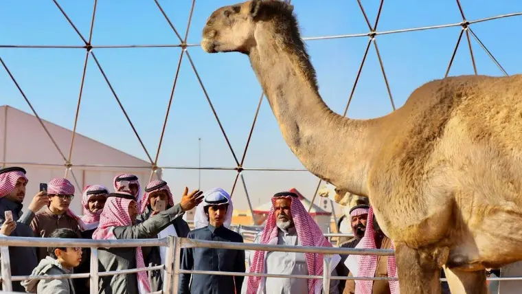 جدول مزاين الصياهد 1445