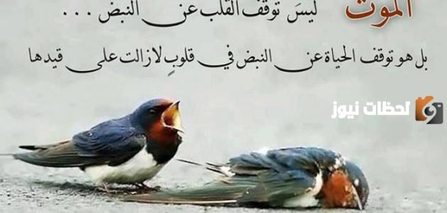 حالات حكم وأمثال عن الحياة والناس