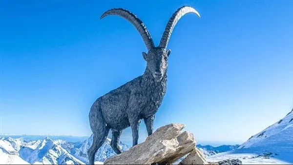 حظك اليوم برج الجدي حظك اليوم برج الجدي