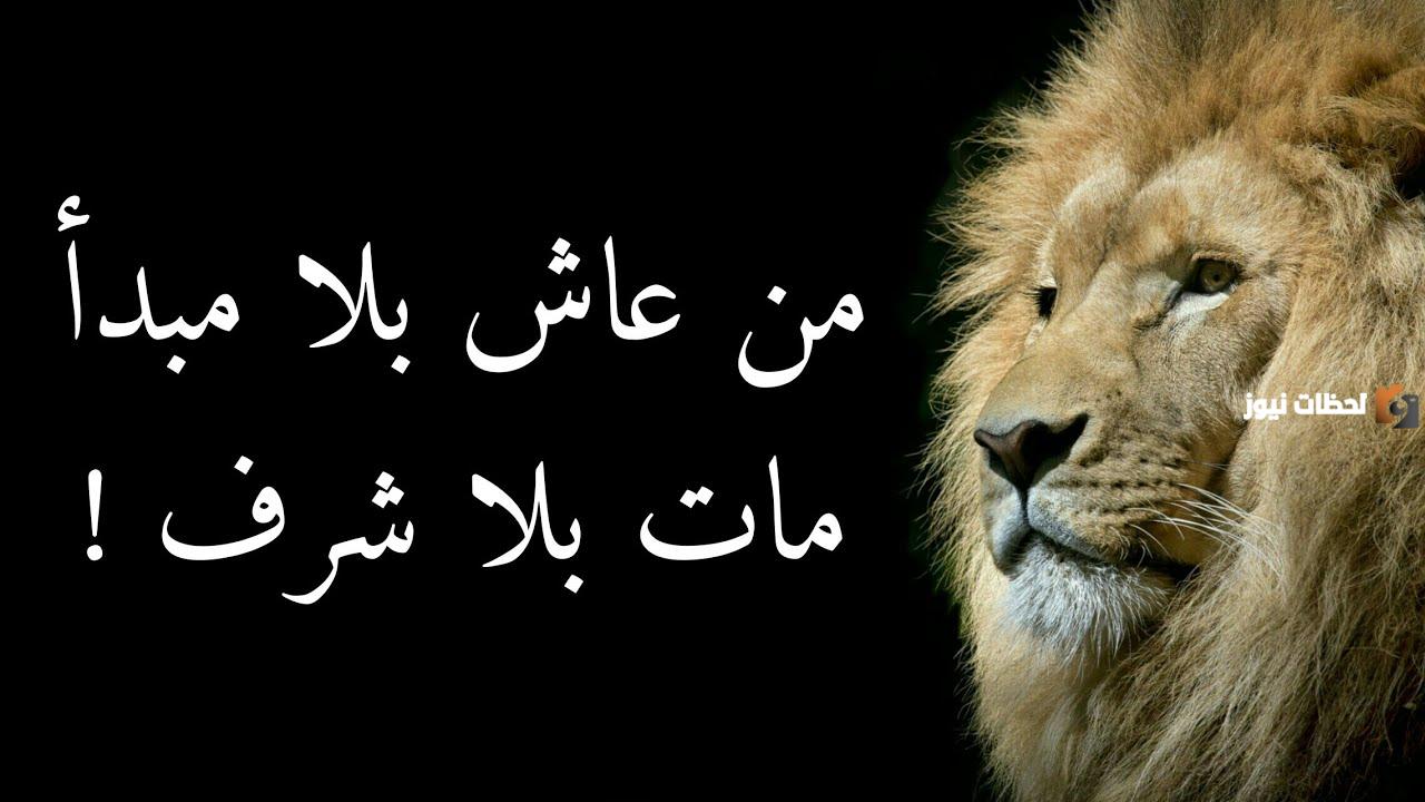 حكم عالمية عن الحياة والناس