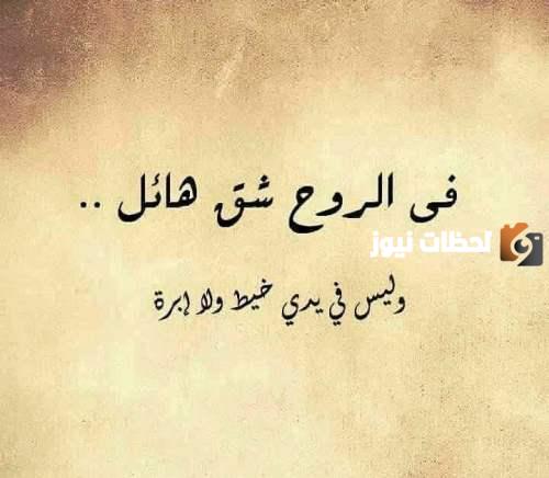 حكمة قوية جدا عن الحياة