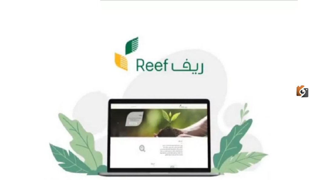 لماذا لم ينزل لي دعم الريف؟ مواطن يسأل ووزارة البيئة والمياه والزراعة توضح