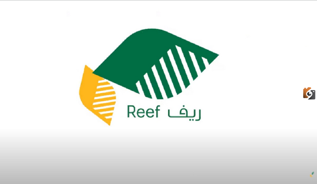 ما هي شروط دعم ريف الجديدة للعاطلين 1445- كم مدة دراسة الأهلية في ريف للأسر المنتجة