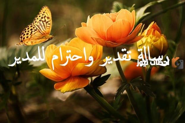 رسالة شكر وتقدير رسمية لمدير شركة جميلة وجديدة