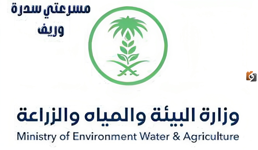 لتعزيز ريادة الأعمال وتنمية الأفكار.. وزارة البيئة تطلق مسرعتي “سدرة وريف”