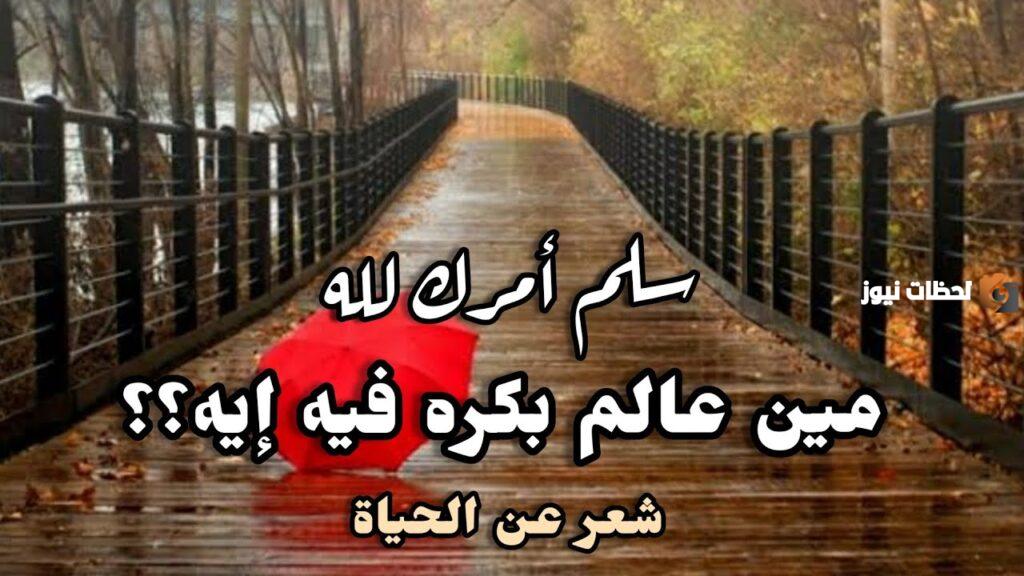 شعر عن الحياة السعيدة