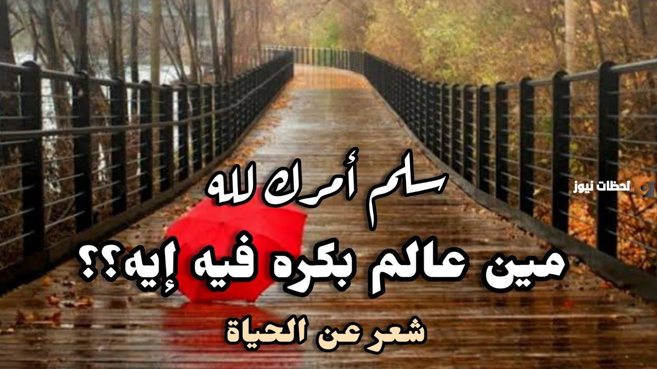 شعر عن الحياة السعيدة