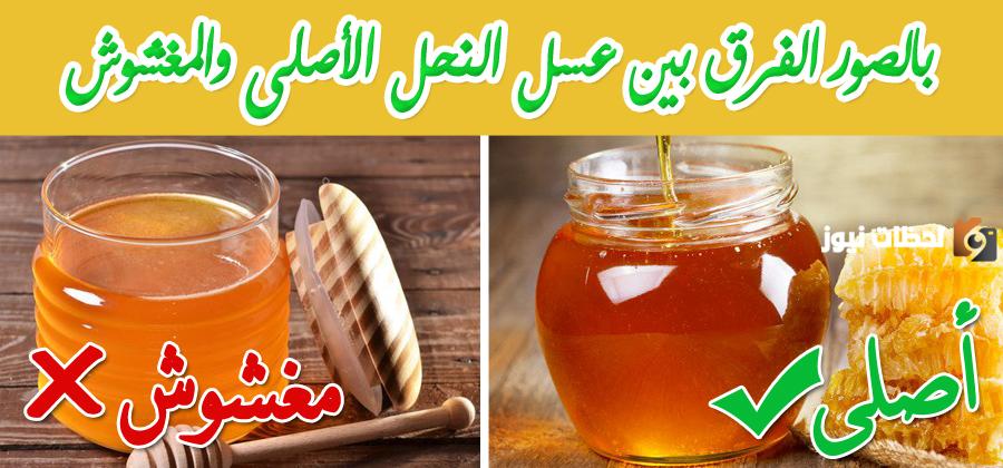 طريقة التمييز العسل الأصلي من المغشوش