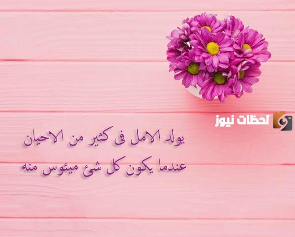 عبارات جميلة عن الحياة والأمل
