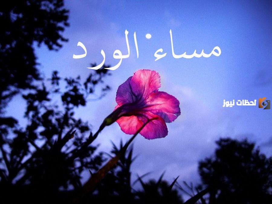 عبارات مساء الورد صديقتي