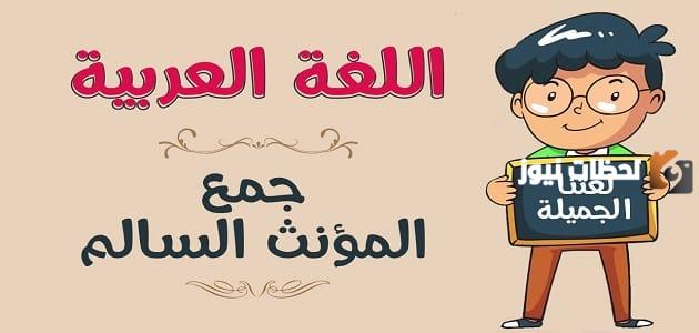 علامات إعراب جمع المؤنث السالم في اللغة العربية