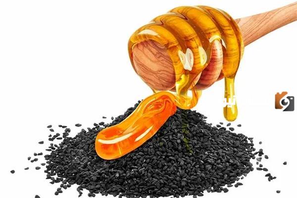 فوائد العسل مع حبة البركة على الريق