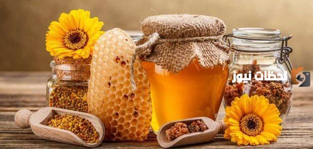 فوائد غذاء الملكات وحبوب اللقاح مع العسل الأبيض