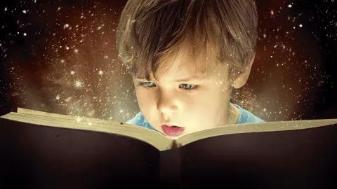 قصة الثعلب والفراشة