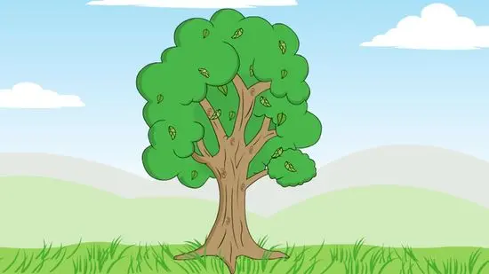 قصة الشجرة العجيبة