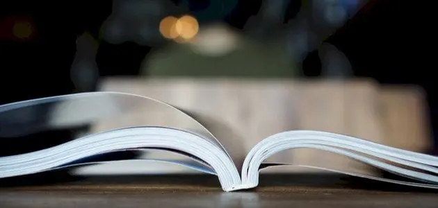 قصة دومة ود حامد