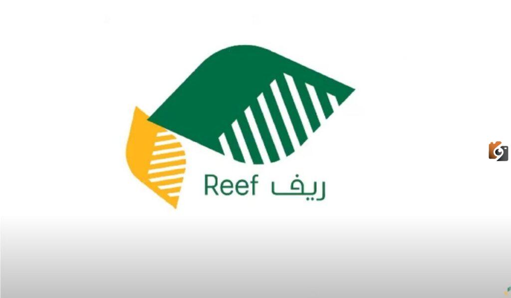 عاجل..بالخطوات كيفية الاستعلام عن دعم ريف برقم الهوية 1445