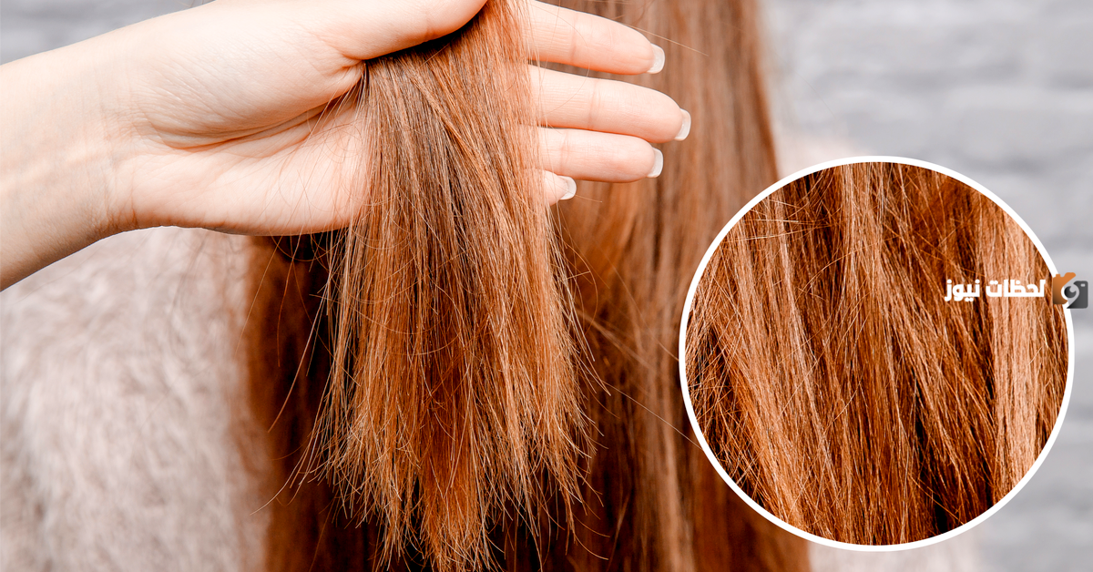 لفرد وتنعيم الشعر التالف والهايش