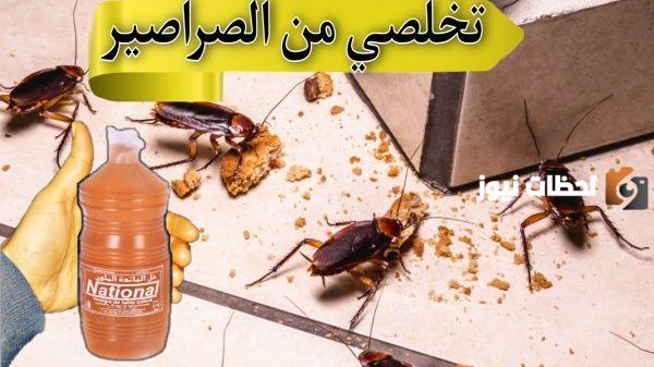 للتخلص من الصراصير وجميع الحشرات نهائيا