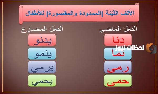 ما الفرق بين الألف المقصورة والممدودة