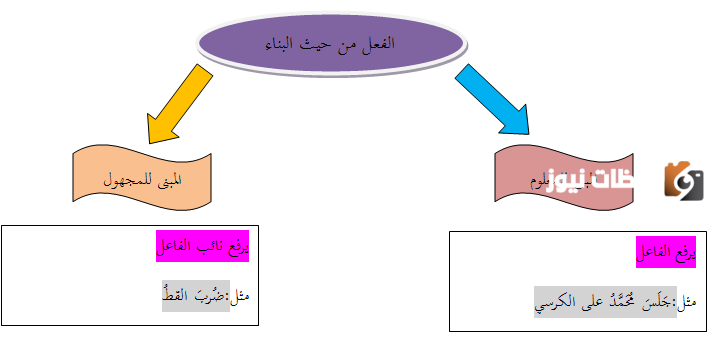 ما الفرق بين المبني للمعلوم والمبني للمجهول
