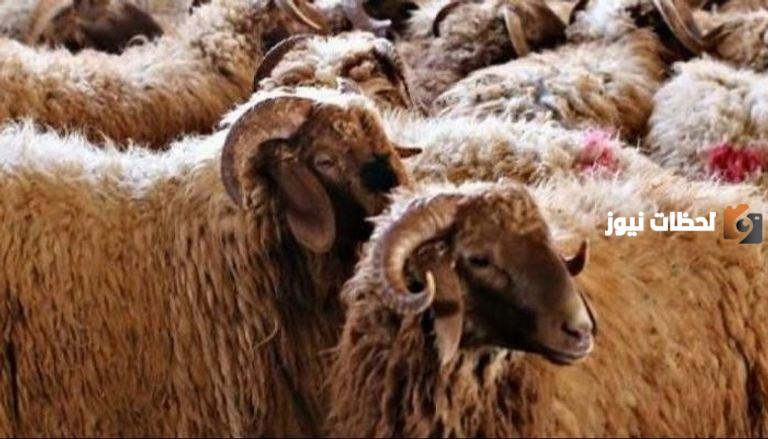 ما هو اخر ايام ذبح الاضحية في الإسلام
