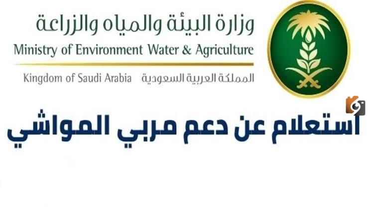 ما هو رابط الاستعلام عن دعم المواشي عبر النفاذ الوطني وكيف يمكن التواصل مع الدعم