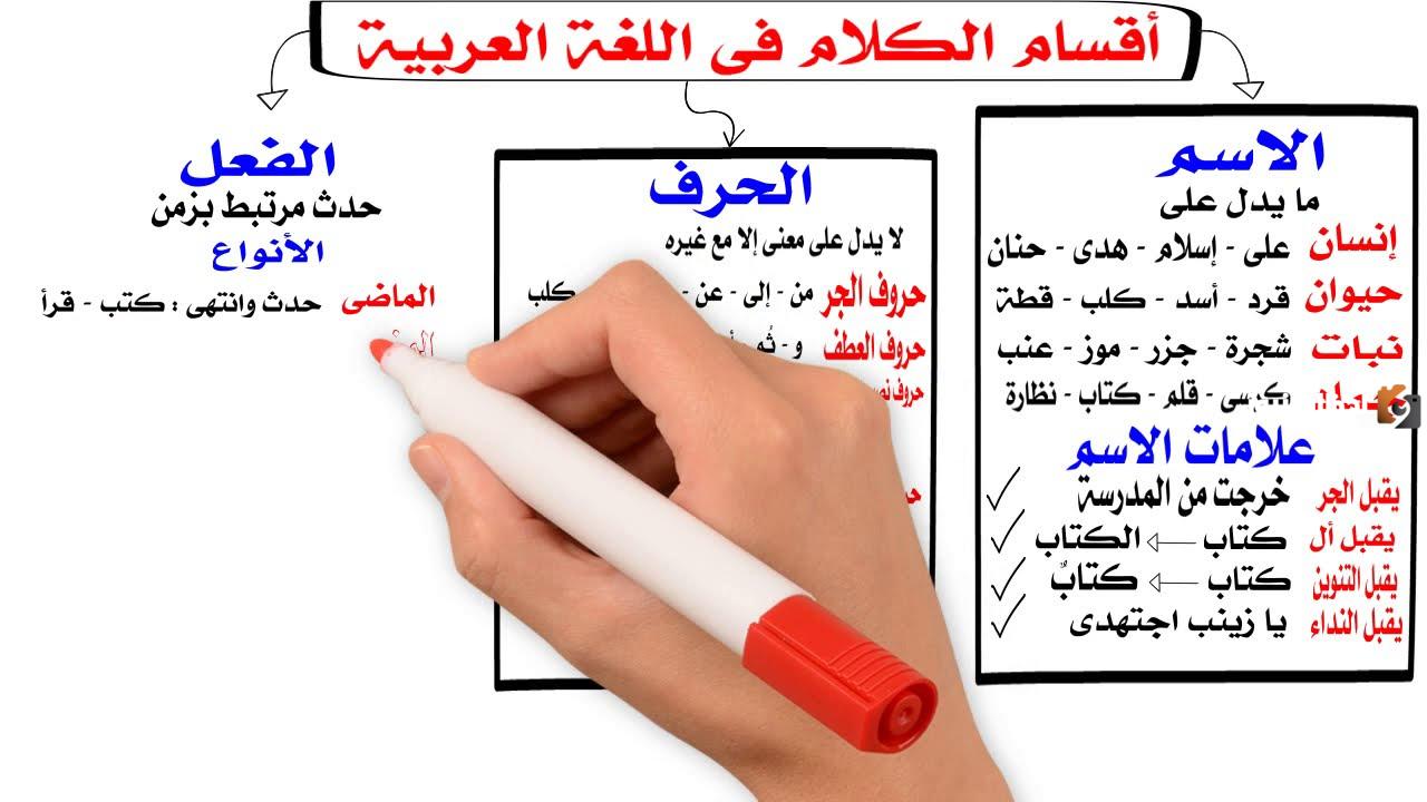 ما هو شرح أنواع الكلمة في اللغة العربية