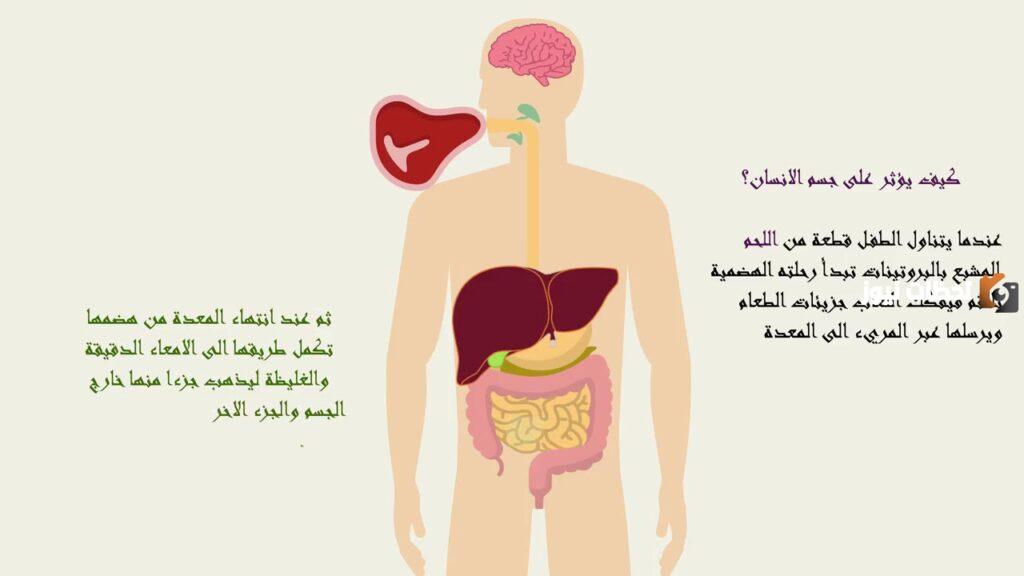 ما هو مرض بيلة الفينيل كيتون