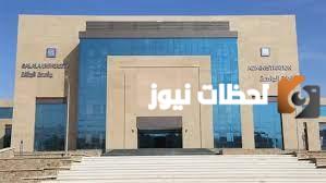ما هي الجامعات الأهلية في مصر