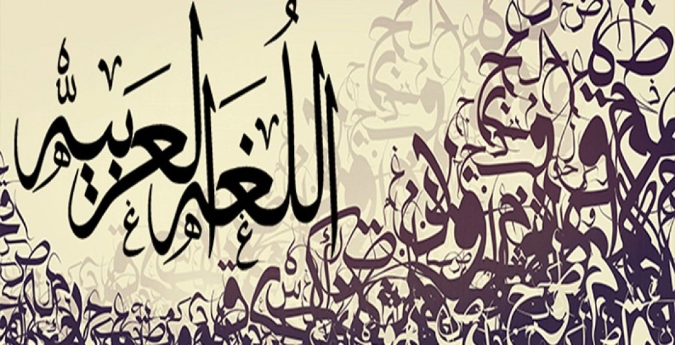 ما هي الضمائر في اللغة العربية