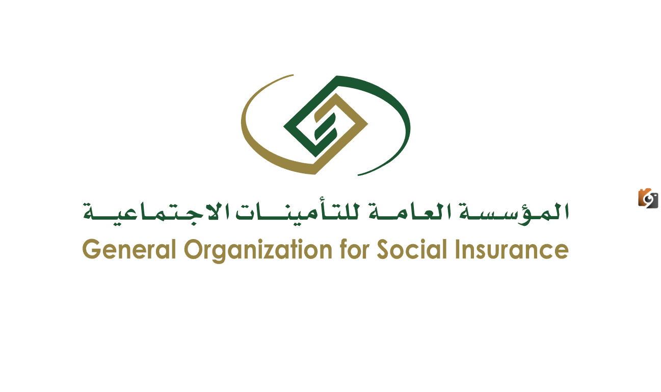 كيف تحصل على بطاقة تقدير للمتقاعدين؟ المؤسسة العامة للتقاعد توضح