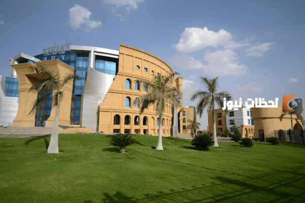 ما هي تخصصات جامعة المستقبل في مصر