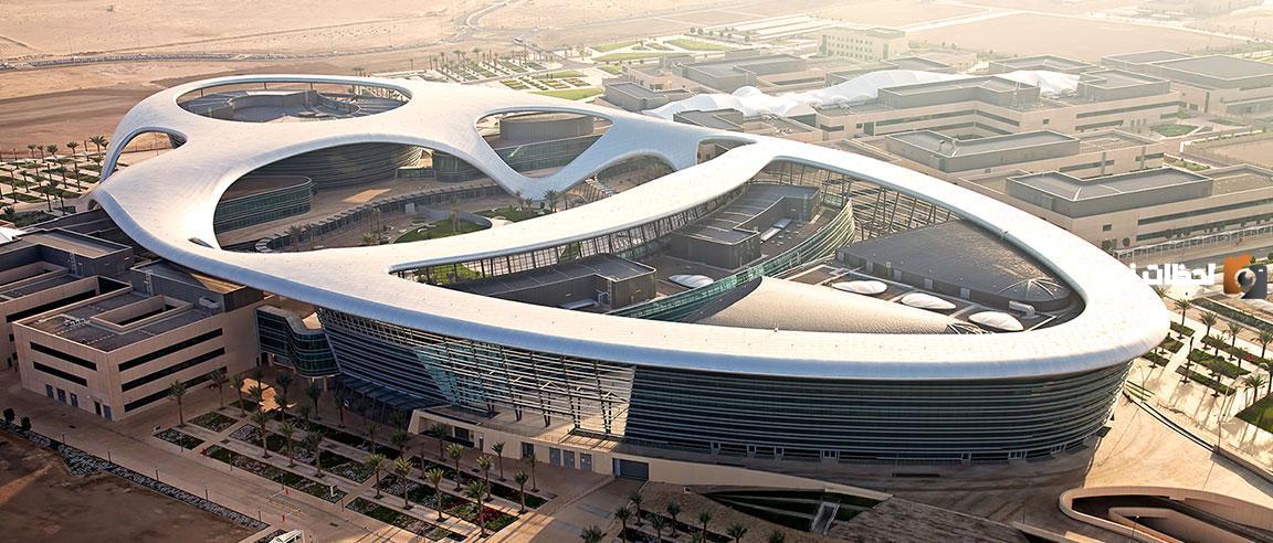 ما هي تخصصات جامعة زايد أبو ظبي