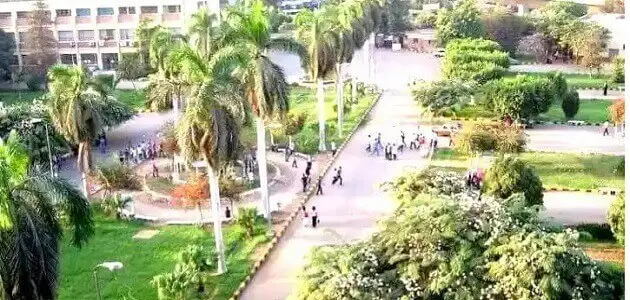 ما هي تخصصات كلية زراعة ومجالات العمل المتاحة