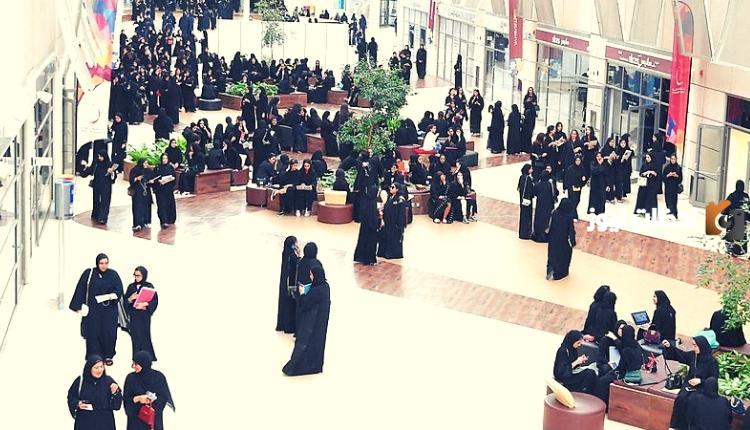 ما هي شروط القبول في جامعة زايد أبوظبي وتخصصاتها