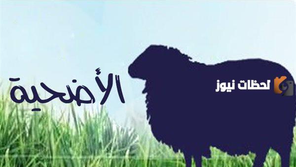 ما هي شروط المضحي من الرجال والنساء