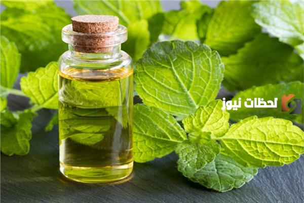 ما هي فوائد عشبة المليسا للذاكرة والجهاز الهضمي وهل لها اضرار جانبية