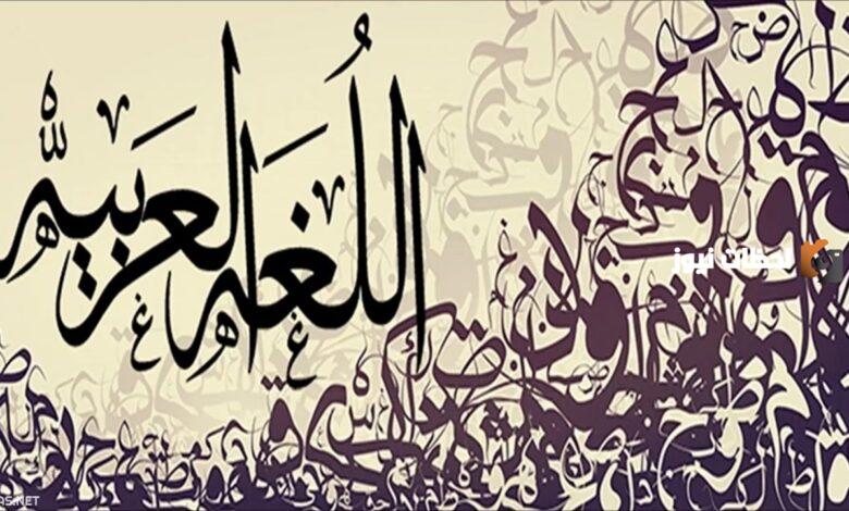مثال على نعت جملة فعلية في اللغة العربية