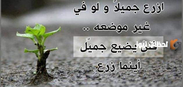 مجموعة من أقوال معبرة عن الحياة