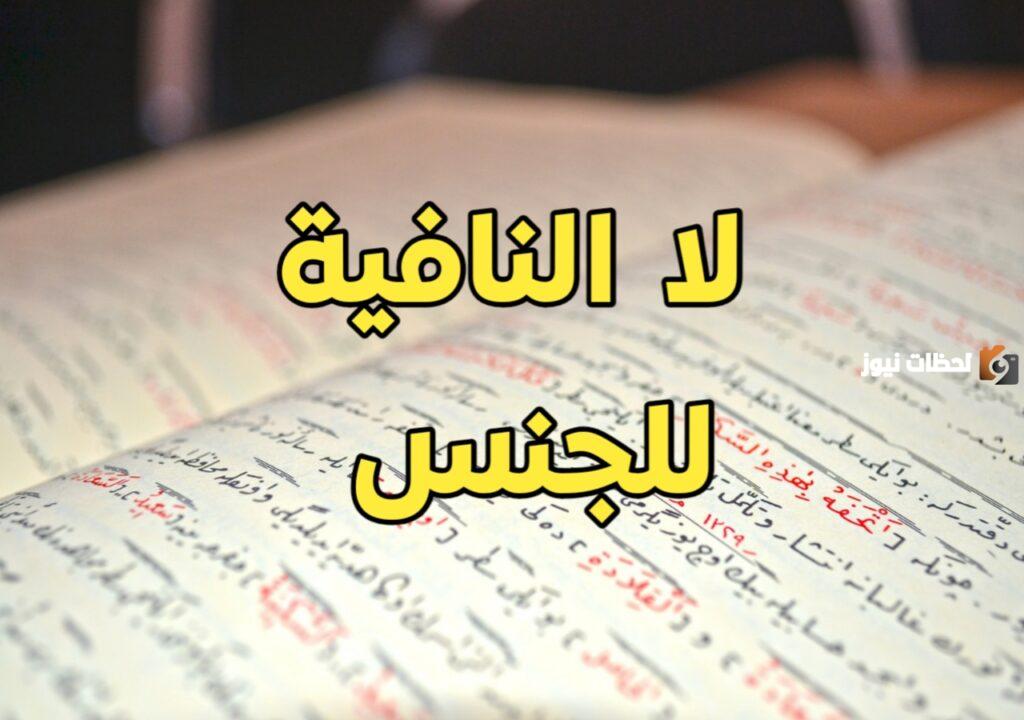 معلومات عن لا النافية للجنس