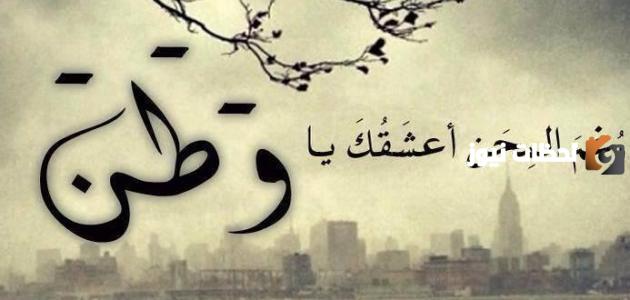 مقالات عن الوطن