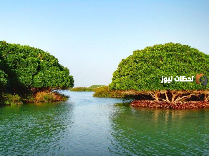 موقع جزيرة كمران