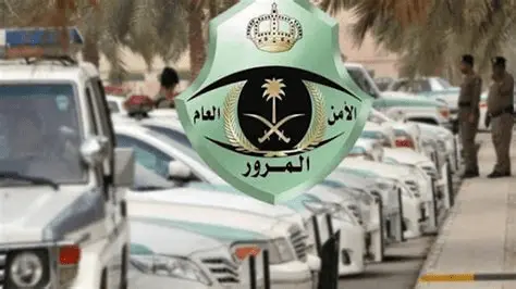 نظام افادة تجديد الرخصة