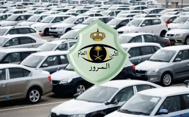 نظام افادة تجديد الرخصة