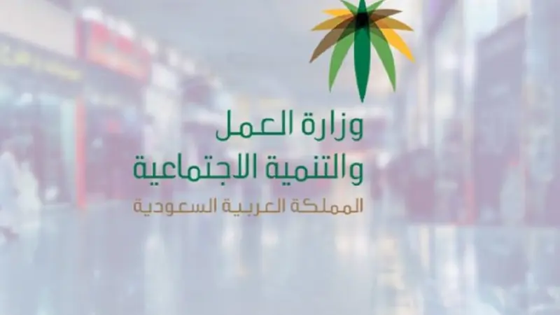 نظام الترقيات الجديد